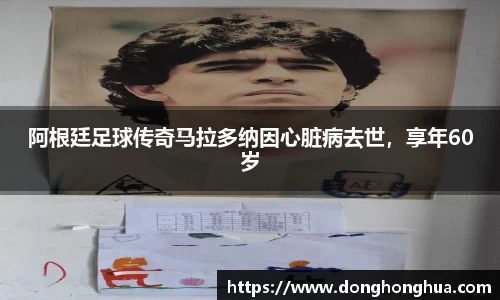 火博官网