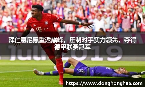 火博体育APP